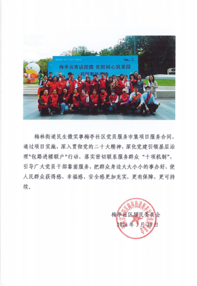 党员集市项目总结公示.png