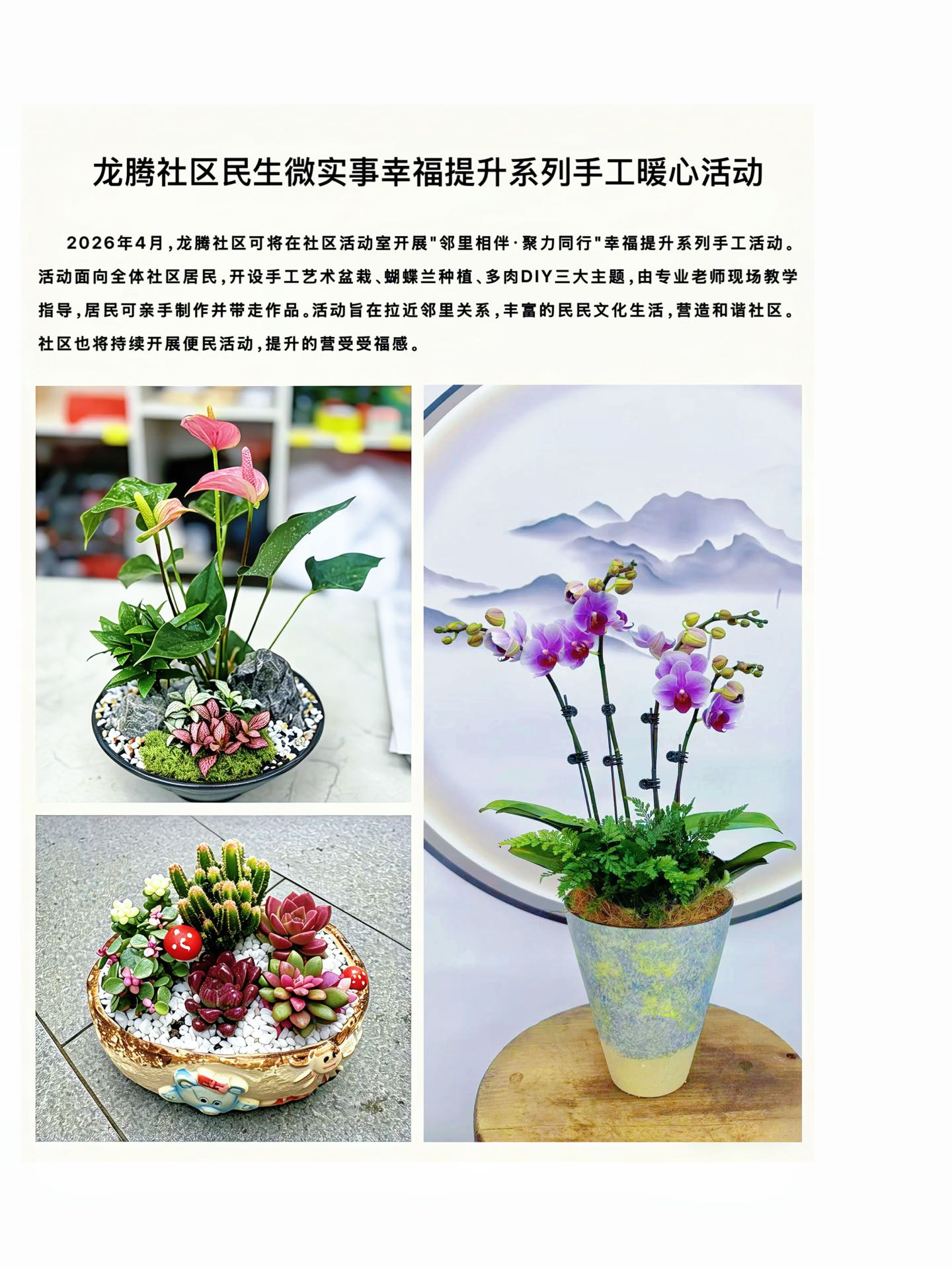 图片11.png